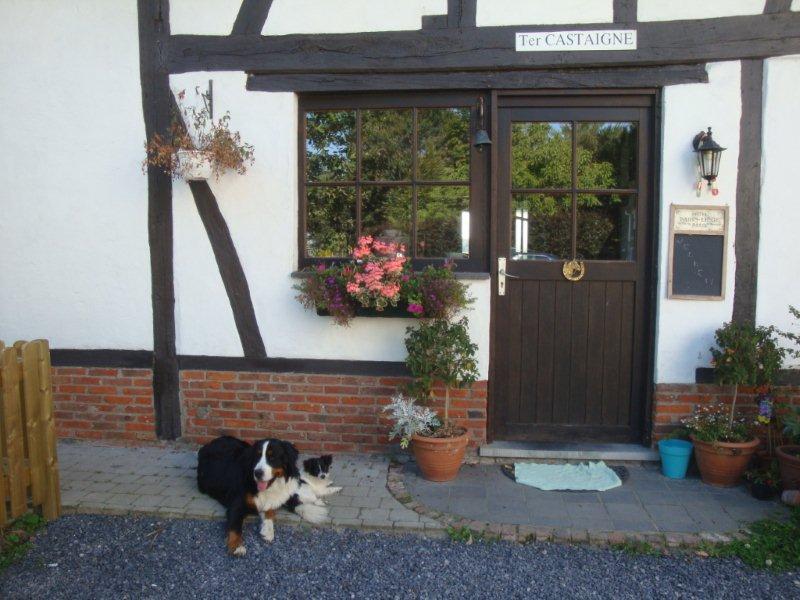 B&B Ter Castaigne Koekelare Eksteriør bilde